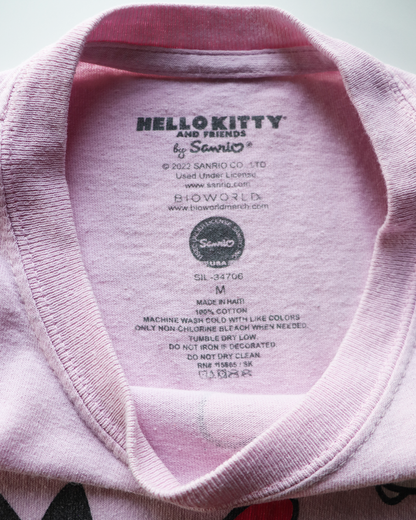 CHEEEDS Used Tee_HELLO KITTY and FRIENDS