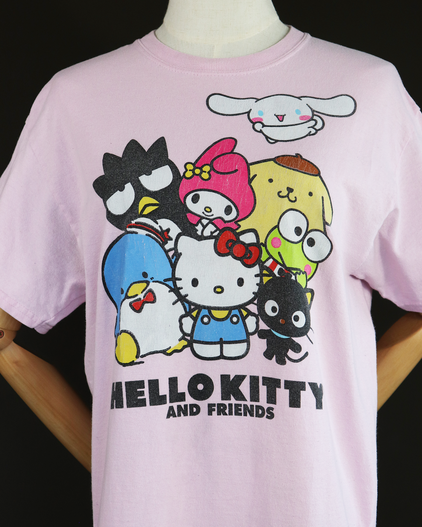 CHEEEDS Used Tee_HELLO KITTY and FRIENDS